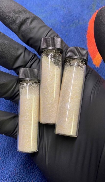 Gloved hand holding sealed laboratory glass vials filled with pure crystalline N,N-DMT freebase powder