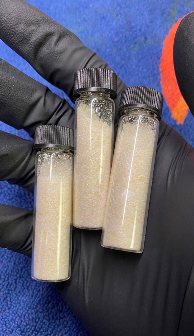 Gloved hand holding sealed laboratory glass vials filled with pure crystalline N,N-DMT freebase powder Gloved hand holding sealed laboratory glass vials filled with pure crystalline N,N-DMT freebase powder